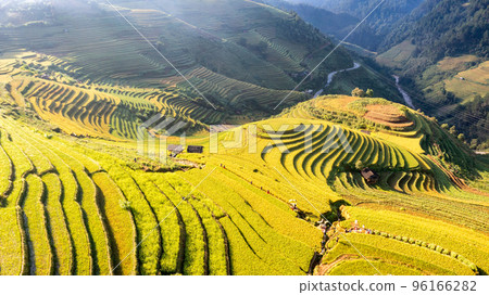 Rice fields on terraced prepare the harvest at Northwest Vietnam. Rice fields on terraced prepare the harvest at Northwest Vietnam. 96166282