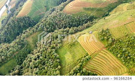 Rice fields on terraced prepare the harvest at Northwest Vietnam. Rice fields on terraced prepare the harvest at Northwest Vietnam. 96166284
