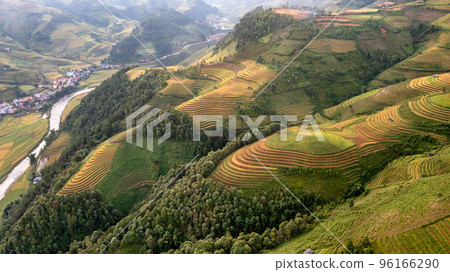 Rice fields on terraced prepare the harvest at Northwest Vietnam. 96166290