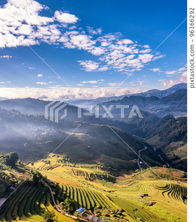 Rice fields on terraced prepare the harvest at Northwest Vietnam. 96166292