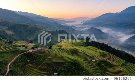 Rice fields on terraced prepare the harvest at Northwest Vietnam. 96166295