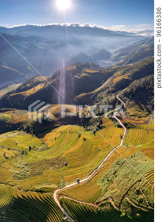 Rice fields on terraced prepare the harvest at Northwest Vietnam. 96166386