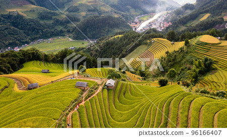Rice fields on terraced prepare the harvest at Northwest Vietnam. Rice fields on terraced prepare the harvest at Northwest Vietnam. 96166407