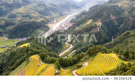 Rice fields on terraced prepare the harvest at Northwest Vietnam. Rice fields on terraced prepare the harvest at Northwest Vietnam. 96166426