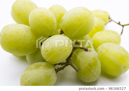 fresh green grapes fresh green grapes 96166527