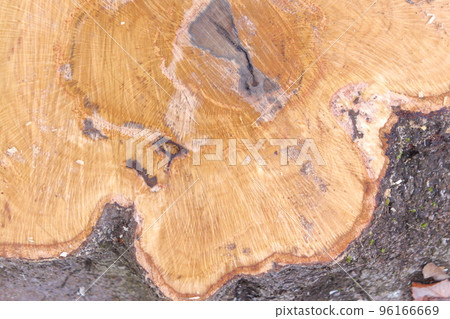 Up stump Up stump 96166669
