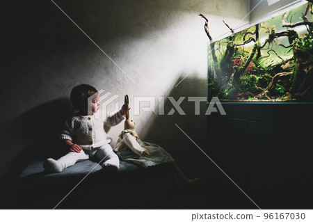 A small cute baby with toy rabbit sits on a pouf in a dark room and looks at the beautiful freshwater aquascape with live aquarium plants, Frodo stones, redmoor roots covered by java moss. A small cute baby with toy rabbit sits on a pouf in a dark room and looks at the beautiful freshwater aquascape with live aquarium plants, Frodo stones, redmoor roots covered by java moss. 96167030
