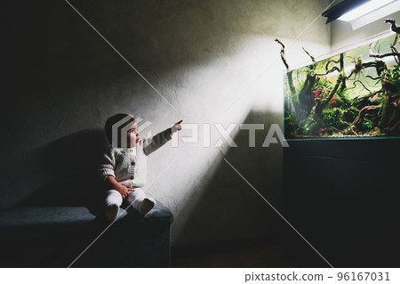 A small cute surprised baby sits on a pouf in a dark room and points finger at the beautiful freshwater aquascape with live aquarium plants, Frodo stones, redmoor roots covered by java moss. A small cute surprised baby sits on a pouf in a dark room and points finger at the beautiful freshwater aquascape with live aquarium plants, Frodo stones, redmoor roots covered by java moss. 96167031
