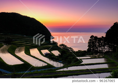 terraced paddy fields 96167065