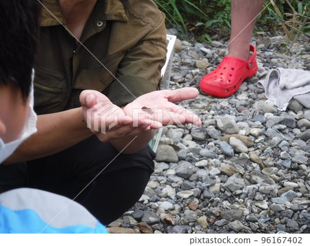魚愛好者的活動〜男孩愛好者魚的活動 魚愛好者的活動〜男孩愛好者魚的活動 96167402