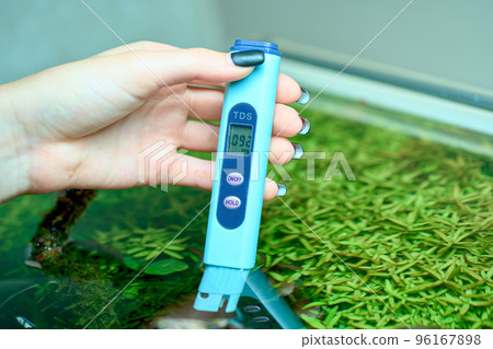 Measuring the TDS of the water in planted aquarium. 96167898