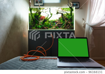 Aquarium connected to the laptop with green chromakey on a screen by long orange wire. Smart aquarium concept. Aquarium connected to the laptop with green chromakey on a screen by long orange wire. Smart aquarium concept. 96168131