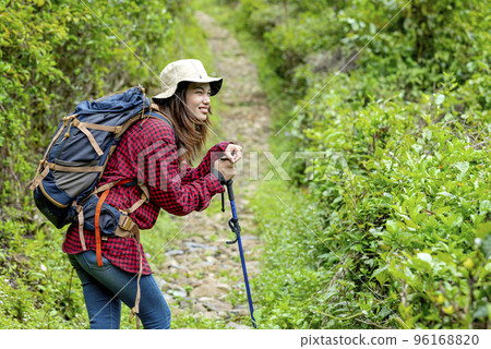 Asian woman in a hat and backpack with a trekking pole tired walking 96168820