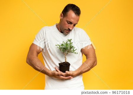 Boy cradles a small tree ready to be planted. yellow color background. concept of forestation, ecology and conservation 96171018