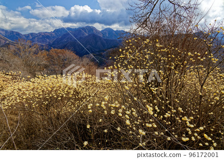 A view of the Mitsumata colony on the Tanzawa Mountains and Gongenyama ridgeline and the Hinodomaru A view of the Mitsumata colony on the Tanzawa Mountains and Gongenyama ridgeline and the Hinodomaru 96172001