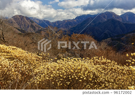 A view of the Mitsumata colony on the Tanzawa Mountains and Gongenyama ridgeline and the Hinodomaru A view of the Mitsumata colony on the Tanzawa Mountains and Gongenyama ridgeline and the Hinodomaru 96172002