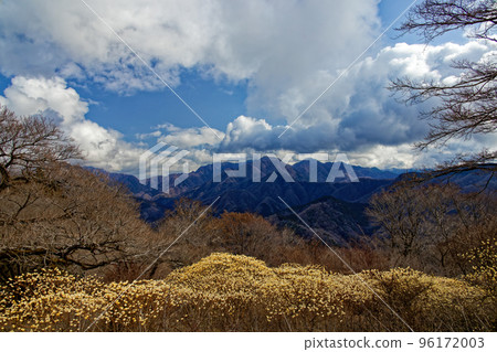 A view of the Mitsumata colony on the Tanzawa Mountains and Gongenyama ridgeline and the Hinodomaru A view of the Mitsumata colony on the Tanzawa Mountains and Gongenyama ridgeline and the Hinodomaru 96172003
