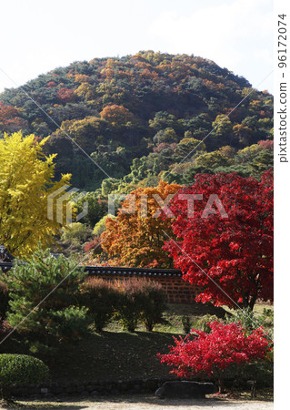 秋葉, 月嶽山, 秋天, 松溪, 堤川, 忠北 96172074