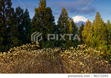 富士山、三葉山 96172093