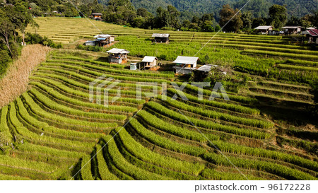 Aerial view of Rice terrace at Ban pa bong piang in Chiang mai Thailand Aerial view of Rice terrace at Ban pa bong piang in Chiang mai Thailand 96172228