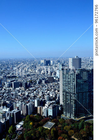 東京都政府大樓從天文台看到的城市景觀 東京都政府大樓從天文台看到的城市景觀 96172766