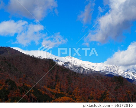 Autumn leaves and snow in the Northern Alps 96172810