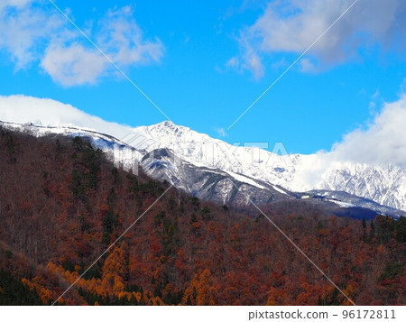 Autumn leaves and snow in the Northern Alps Autumn leaves and snow in the Northern Alps 96172811