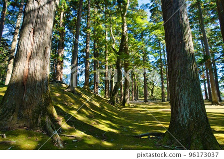 Obi Castle Honmaru Ruins Autumn 2014 Obi Castle Honmaru Ruins Autumn 2014 96173037