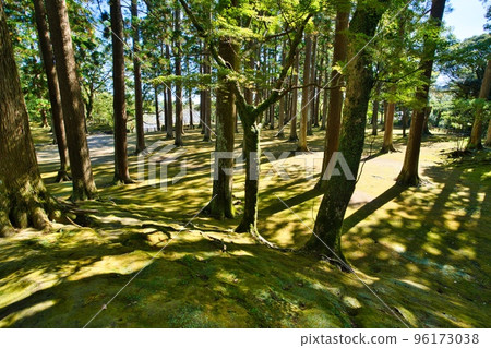 帶比城本丸遺址 2014年秋季 帶比城本丸遺址 2014年秋季 96173038