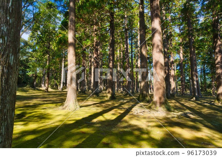 帶比城本丸遺址 2014年秋季 帶比城本丸遺址 2014年秋季 96173039