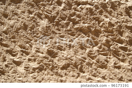 Lime wall textured surface. Close-up 96173191