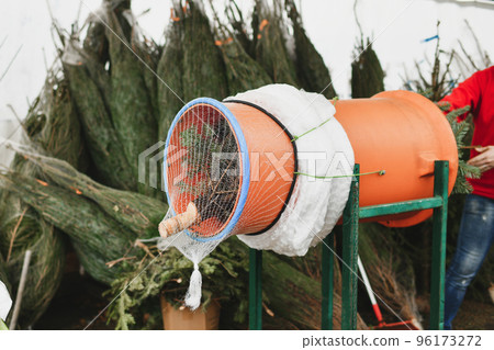 Salesman being wrapped up a Christmas tree packed in a plastic net Salesman being wrapped up a Christmas tree packed in a plastic net 96173272