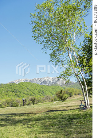 Fresh green/early summer cycling image (Okudaisen) 96173889