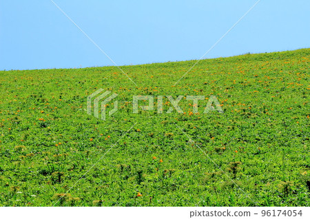 北海道遊記：禮文島、須科頓岬周邊地區 96174054