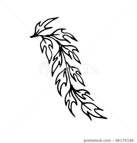 leaves, dooddle, lineart, vector, illustration, hand drawing leaves, dooddle, lineart, vector, illustration, hand drawing 96174186