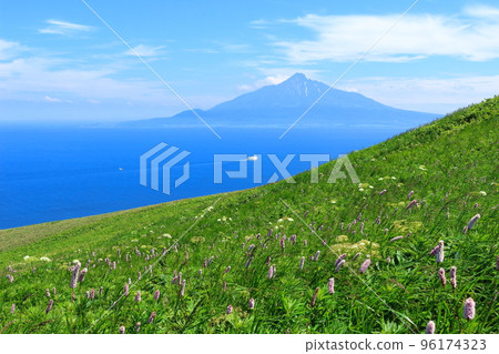 北海道遊記桃岩展望台禮文島 96174323