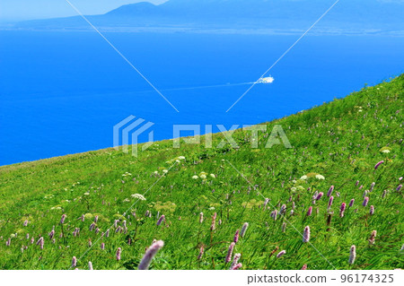 Hokkaido Travelogue Momoiwa Observatory Rebun Island Hokkaido Travelogue Momoiwa Observatory Rebun Island 96174325