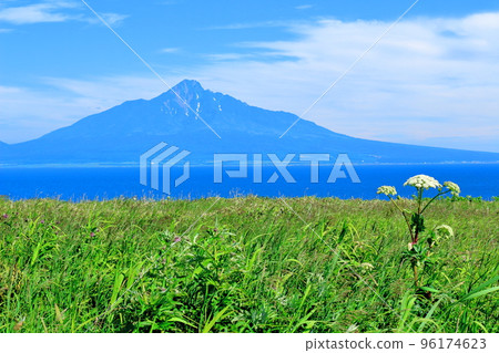 Hokkaido Travelogue Northern Canary Park Rebun Island 96174623