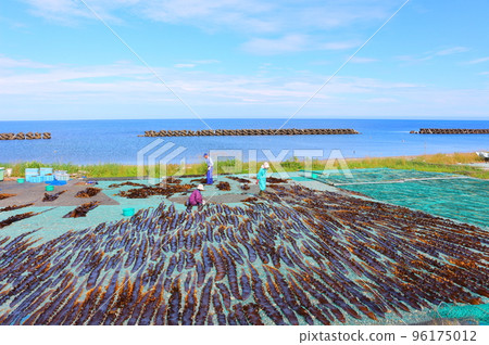 Hokkaido Travelogue Dried Kombu from Wakkanai 96175012