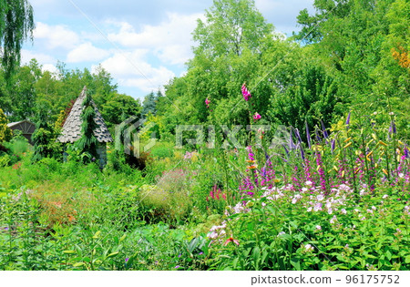 北海道遊記 7月上野農場晨間庭園 96175752