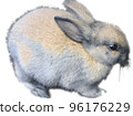 2023 New Year's card material and parts Photo cut of a baby rabbit 2023 New Year's card material and parts Photo cut of a baby rabbit 96176229