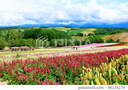 Hokkaido Travelogue Shikisai no Oka in July 96176270