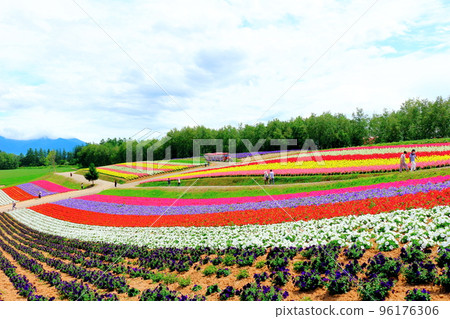 Hokkaido Travelogue Shikisai no Oka in July 96176306