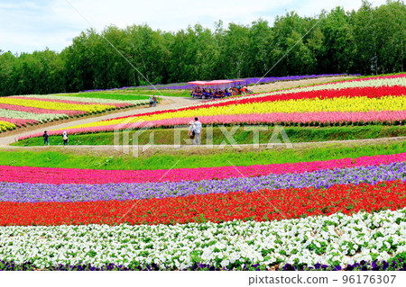 Hokkaido Travelogue Shikisai no Oka in July 96176307