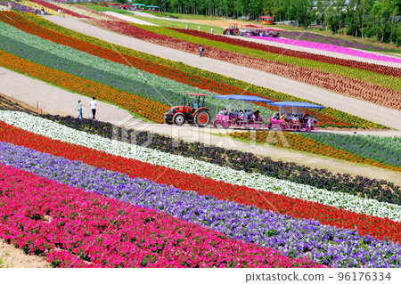 Hokkaido Travelogue Shikisai no Oka in July 96176334