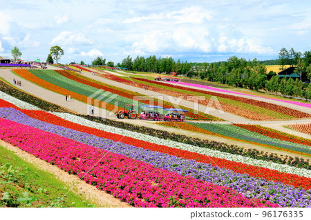 Hokkaido Travelogue Shikisai no Oka in July 96176335