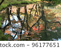 Under the blue sky, the autumn leaves of the trees reflected on the surface of the pond 96177651