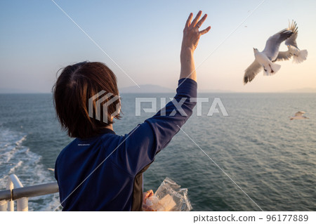 Feeding seagulls on a boat in the Seto Inland Sea Feeding seagulls on a boat in the Seto Inland Sea 96177889