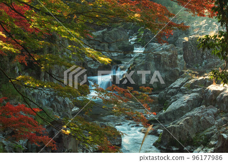滋賀縣多賀町大瀧神社境內的犬神川與秋景 滋賀縣多賀町大瀧神社境內的犬神川與秋景 96177986