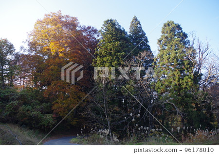 The world of Echigo-Tsumari The world of Echigo-Tsumari 96178010